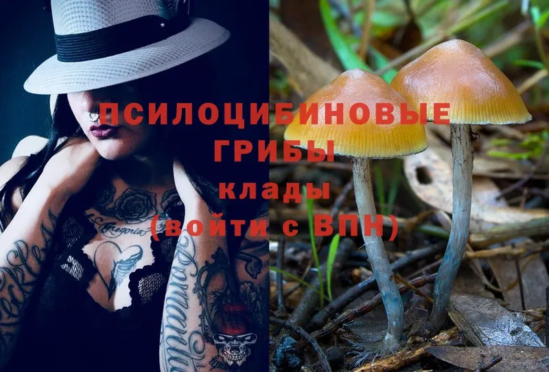 Галлюциногенные грибы MAGIC MUSHROOMS  как найти наркотики  Горячий Ключ 